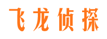 顺平飞龙私家侦探公司